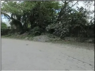 Imagem do imóvel TE08276