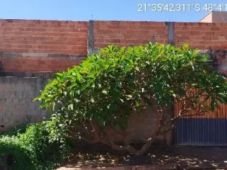 Imagem do imóvel CA92797